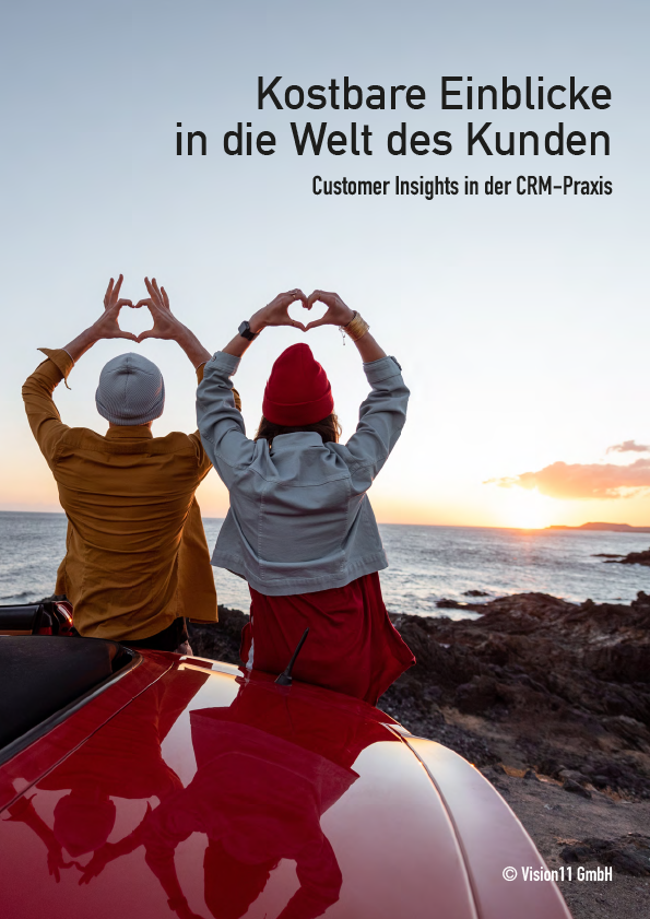 Vision11_Dossier_Customer-Insights Vision11_Dossier_Customer-Insights